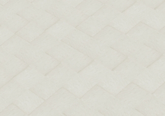 bridlice-standard-bila