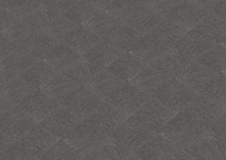 bridlice-standard-cerna