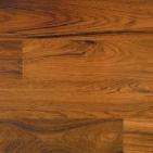 teak-1876